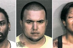 Stolen Rifle Leads To Five Arrests, and Mrs. Doubtfire bandit too