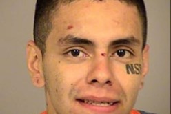 Wild Car Chase End in Arrest