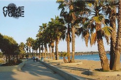 Strolling with Molotov Cocktail