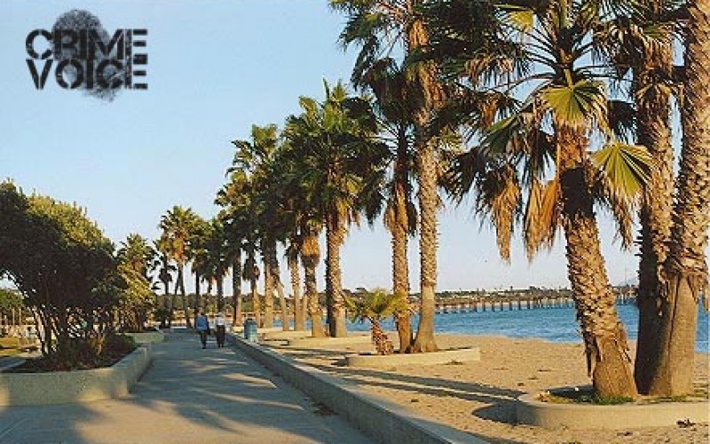 Strolling with Molotov Cocktail