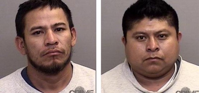 Buzzed driver violates Paul Buzzo act