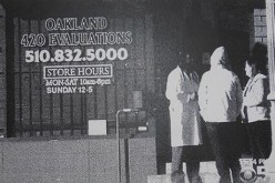 Second round of charges for fake THC Doctors