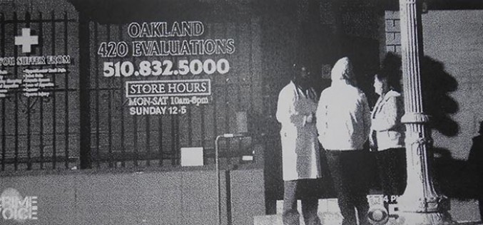 Second round of charges for fake THC Doctors