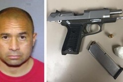 Wanted man bolts during traffic stop