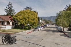 2 Juveniles Brandish Gun to Rob Locals