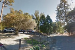 Oakhurst Painter Brought in on Multiple Charges