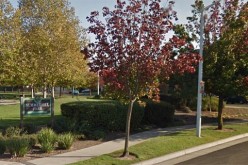 Suspect Arrested on February 25th Assault of Roseville Jogger