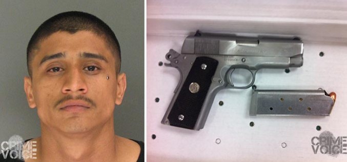 Faulty Taillight Leads to Jail Time