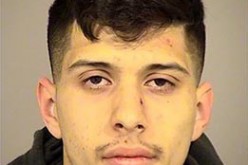 Smashing Up Cop Cars Earns Arrest