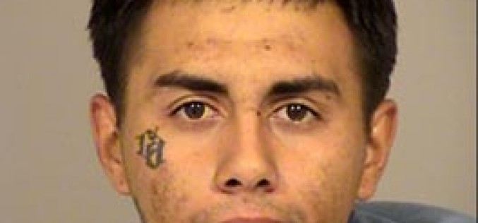 Serial Burglar Busted