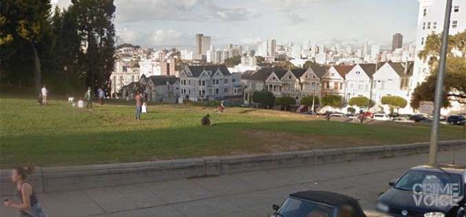 Dog Walker Gets Rabid, Arrested