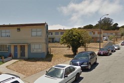 Pet Problem Leads to Firearm Violation