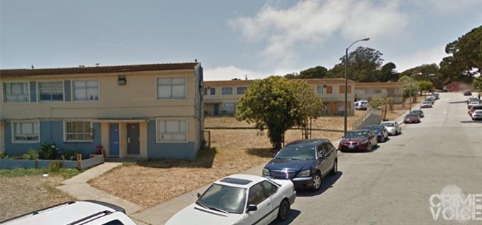 Pet Problem Leads to Firearm Violation