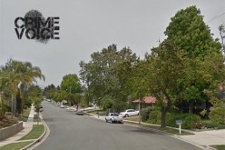 Scissor-Seeking Burglar Busted