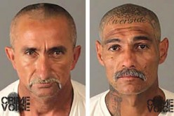 Two Arrests Made in Lawn Mower Theft Gone Awry