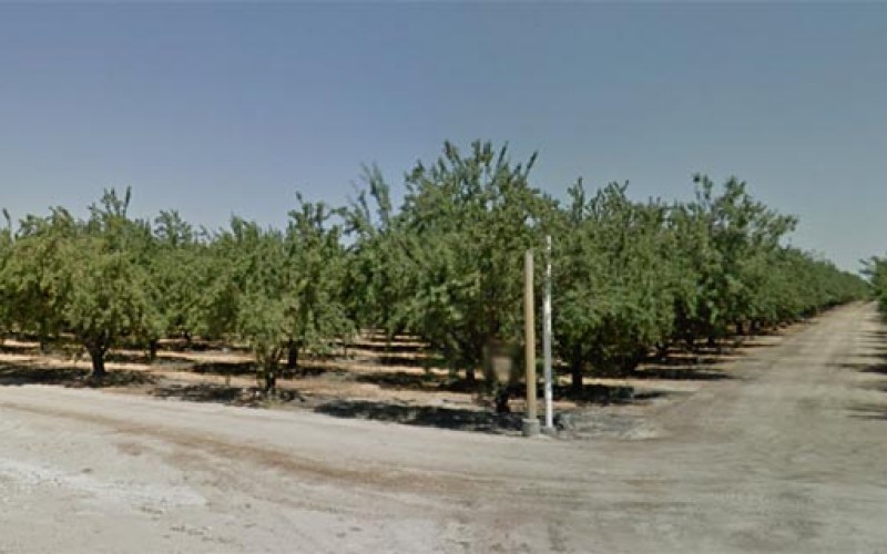 Arrest marks trend in Madera field labor workers