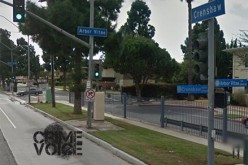 Dog Groomer Cleans Up in Warrants After Being Arrested For Assault with Firearm