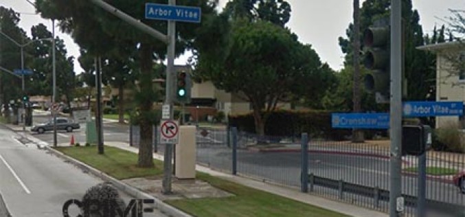 Dog Groomer Cleans Up in Warrants After Being Arrested For Assault with Firearm