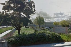 Female sexual assault suspect attacked another inmate