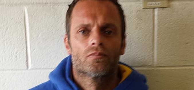 Bogus claims and insurance pains: More fraudsters pulled into the light