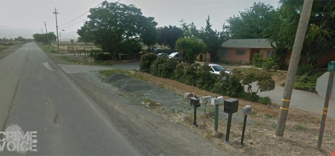 Morning Raid Yields An Arsenal of Firearms