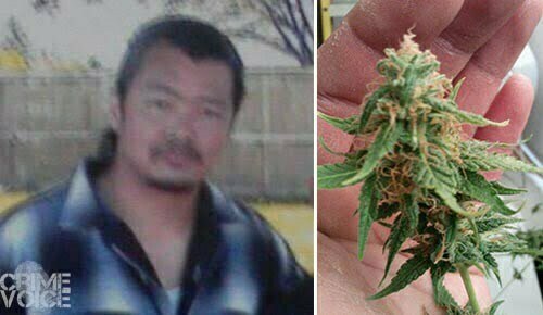 Nirut Honey Gowing and an image of Marijuana in his hand, both photos from his Facebook page.