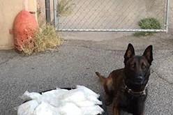 Tico Finds Meth on Pico Avenue