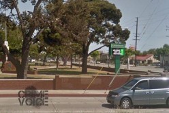 Burglar on Pot Appears to be Easy to Catch