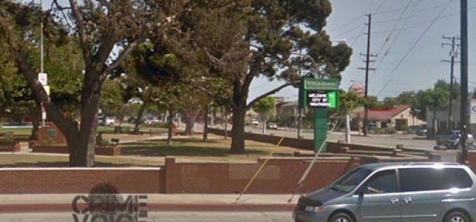 Burglar on Pot Appears to be Easy to Catch