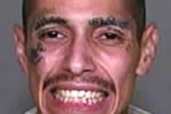 Authorities Still Seeking Carjacking and Kidnapping Suspect