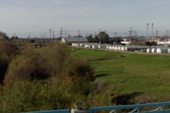 Watsonville Officer Shot, Suspect Killed