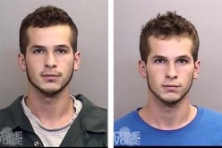 Who let the dogs out? Joey did…