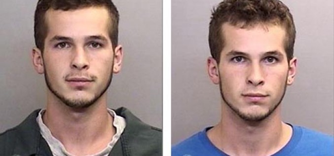 Who let the dogs out? Joey did…