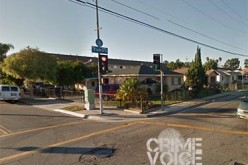 Guns, Drugs and Stop Signs — Oh, My!