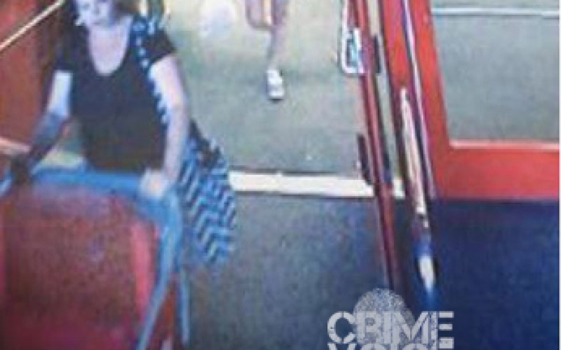 San Diego County Sheriffs Searching for Wedding Burglar