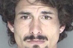 Wild RV Driver Brought to Halt