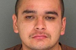 Santa Cruz Police Arrest Hit And Run Suspect For Theft