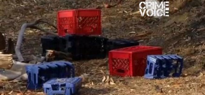 Suspect Arrested in Bonita Arsons