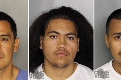 Three Arrested for Home Invasion and Vehicle Theft