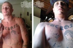 K9 helps nab Anderson car thief