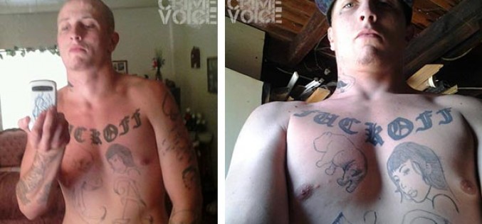 K9 helps nab Anderson car thief