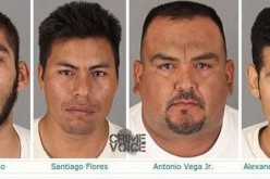 Thirteen Suspects Arrested in Cahuilla Indian Reservation Marijuana Cultivation Raid