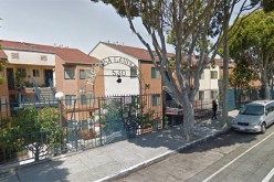 Young Man Arrested After Rooftop Foot Chase