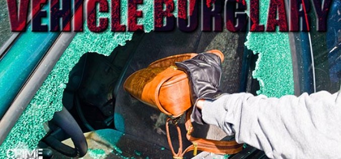 Three caught in Santa Rosa car burglary