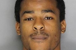 Man Arrested for Stabbing Pitbull Pup