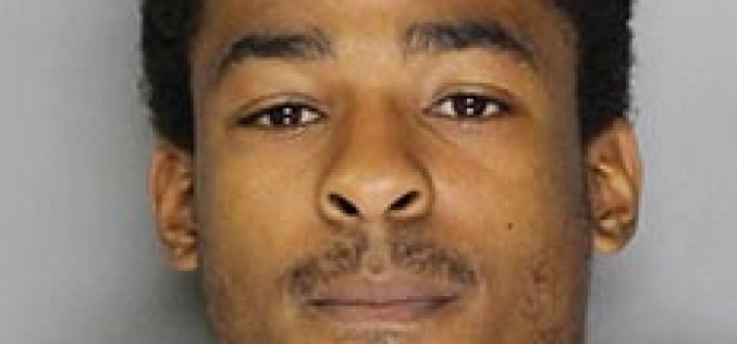 Man Arrested for Stabbing Pitbull Pup