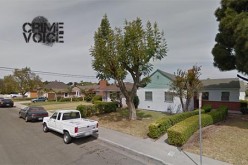 Drugs + Bombs = Arrests