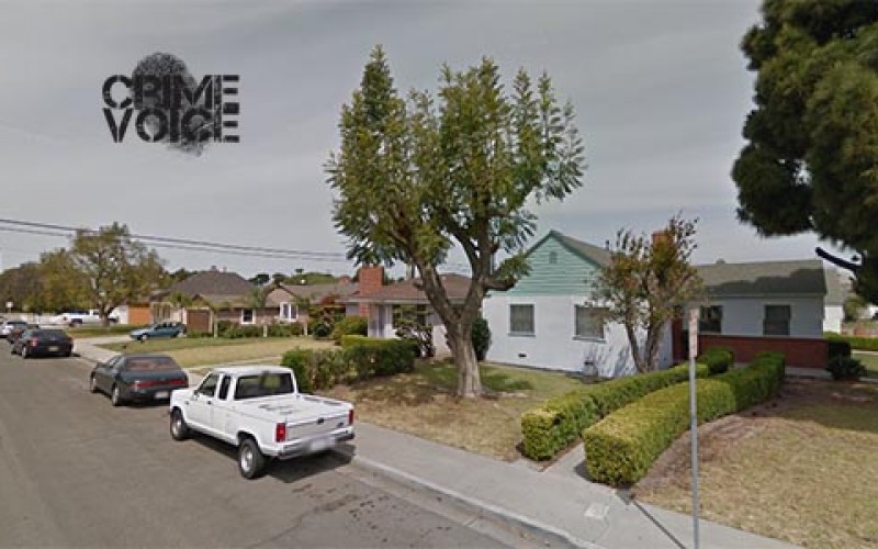 Drugs + Bombs = Arrests