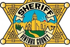 Honey Oil Is Honey of a Bust