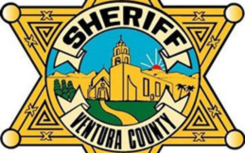 Honey Oil Is Honey of a Bust